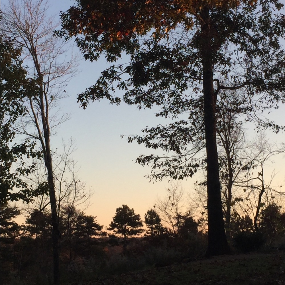 Meet your Posher, Kailey